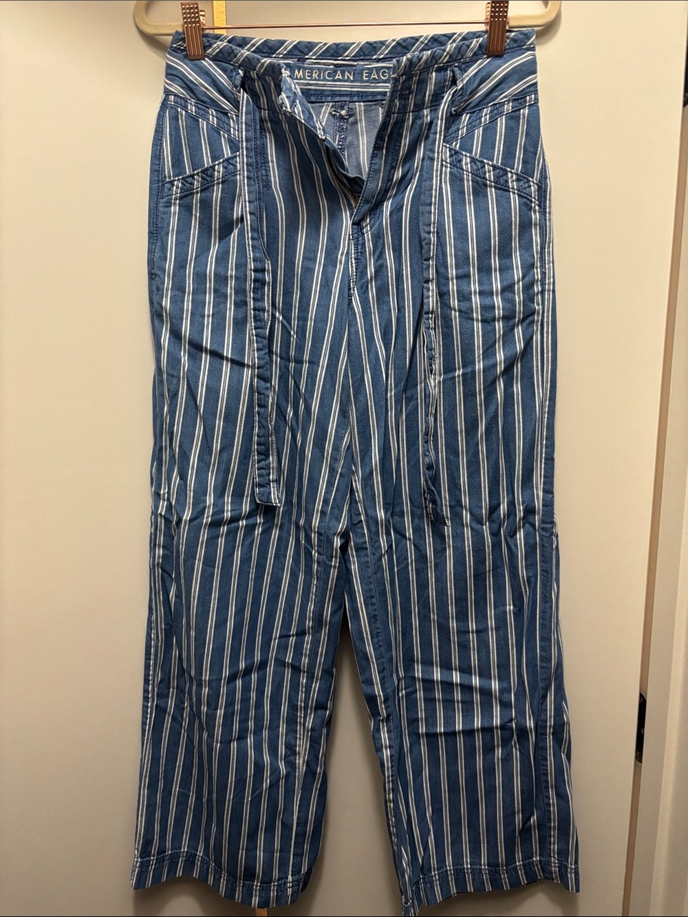 American Eagle Outfitters Blue and White Striped Pants